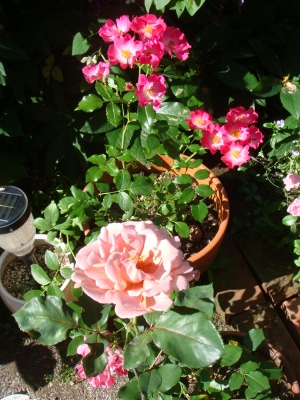 d0235093_15584825.jpg