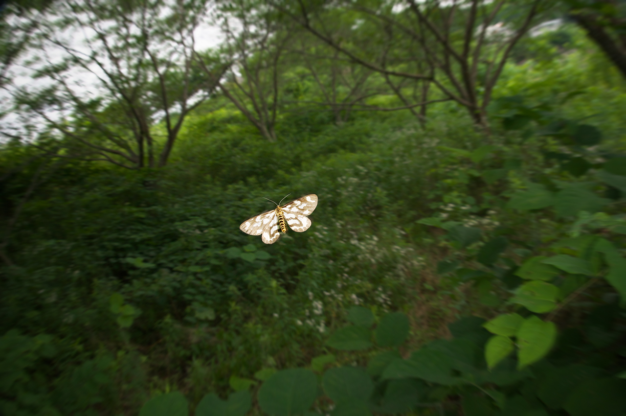 d0146295_20444354.jpg