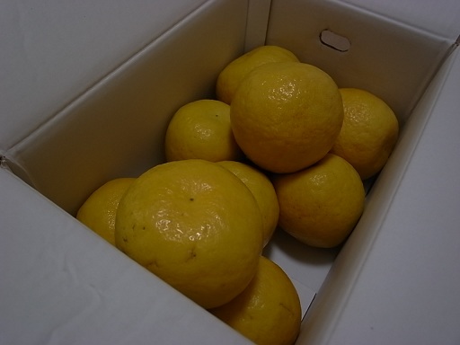 e0043700_22345171.jpg