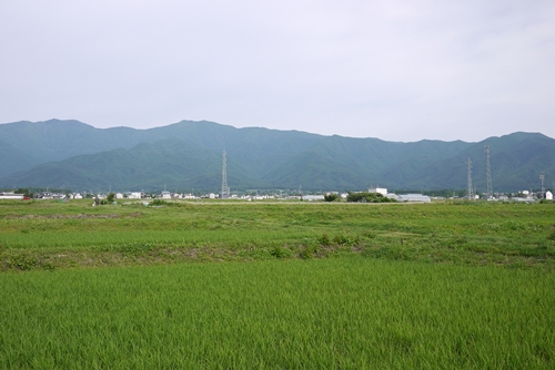 d0133704_1491744.jpg