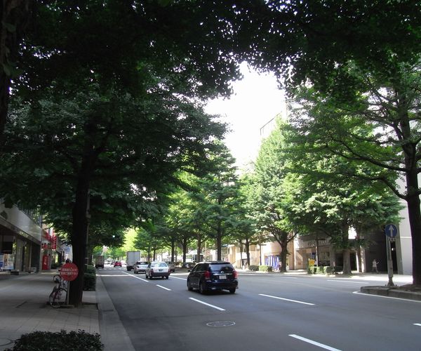 f0006510_2149299.jpg
