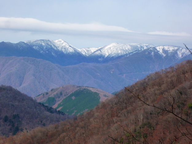 d0170615_73026.jpg