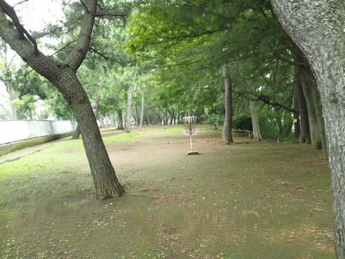 c0150520_015658.jpg