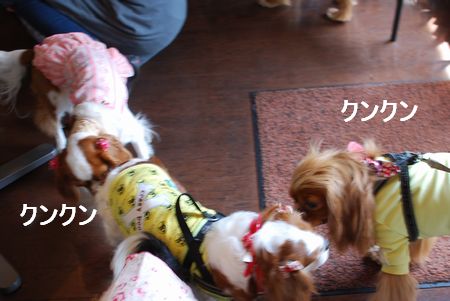 f0214121_20492399.jpg
