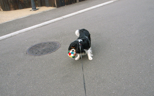 c0051132_2129314.jpg
