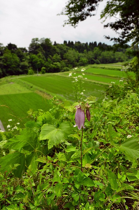 b0236334_20511059.jpg