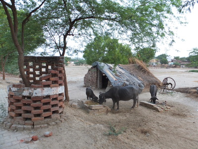 d0269135_17255971.jpg