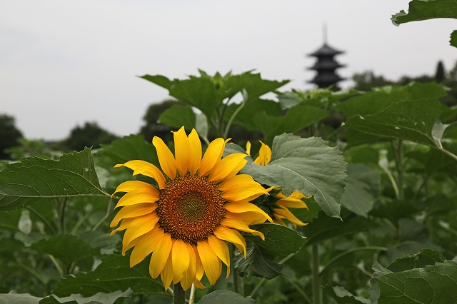 a0242438_21163757.jpg