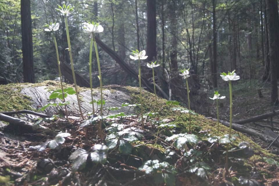 b0102639_14174999.jpg