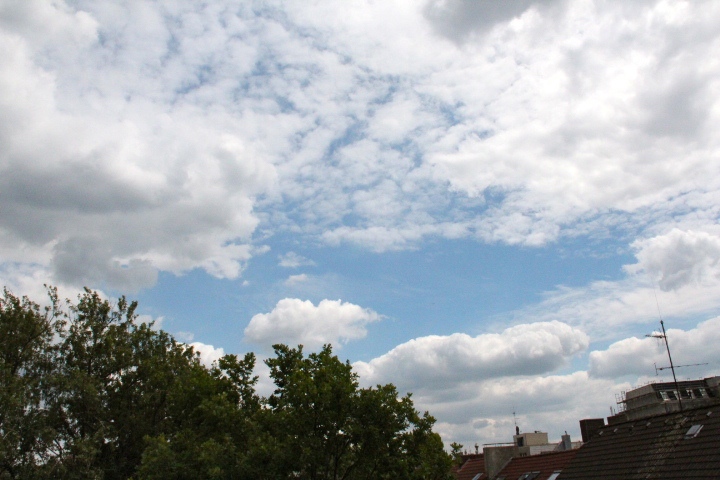 c0153740_6122780.jpg