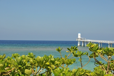a0182241_2044267.jpg