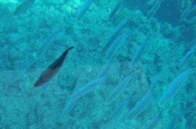 a0182241_20483186.jpg