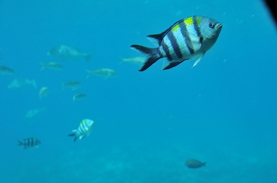 a0182241_20542278.jpg