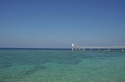 a0182241_20564288.jpg