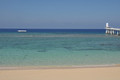 a0182241_2058494.jpg