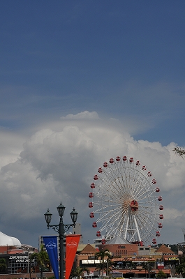 a0182241_21311139.jpg