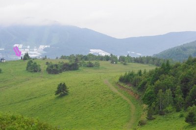 a0142343_12475462.jpg