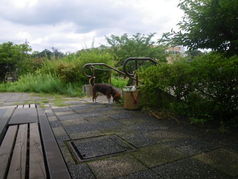 f0046250_018652.jpg