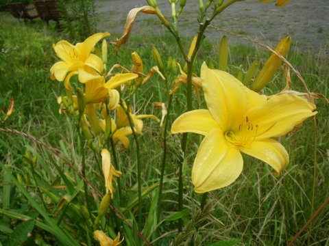 f0046250_0223531.jpg