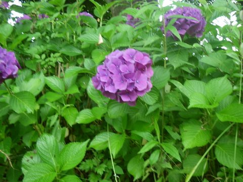 f0046250_0224961.jpg