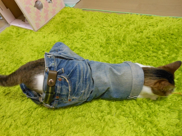 a0150353_2352348.jpg