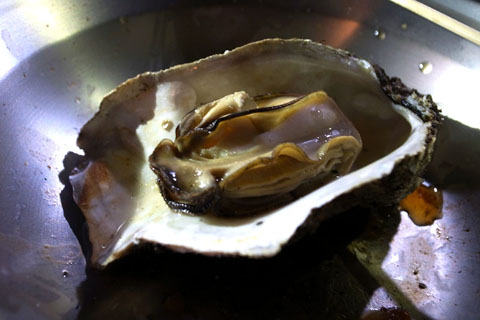 a0083760_383262.jpg
