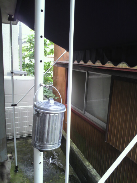 c0172261_13312280.jpg