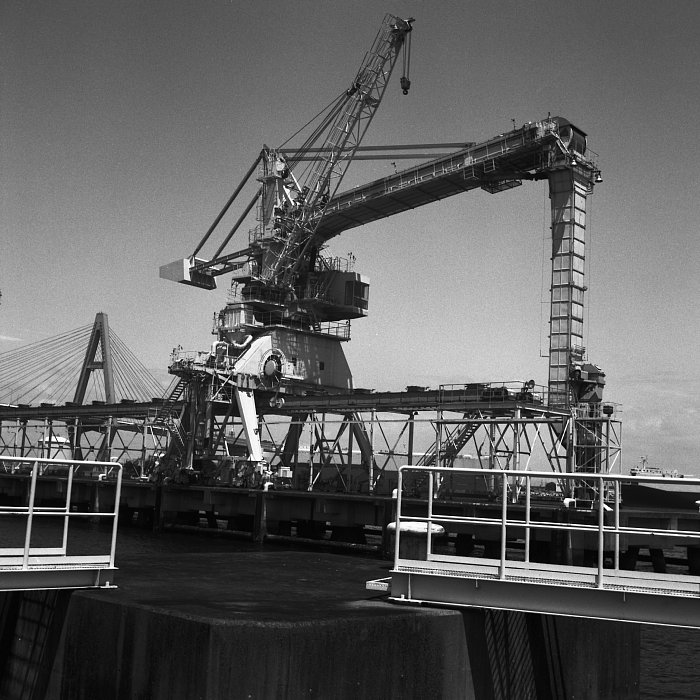 b0175964_15444241.jpg