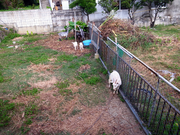 c0048265_10192625.jpg