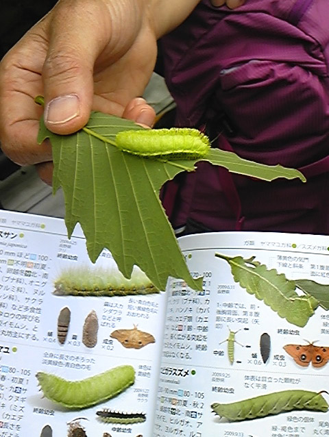 e0118274_949029.jpg