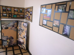d0209579_19432983.jpg