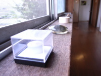 d0209579_21373038.jpg