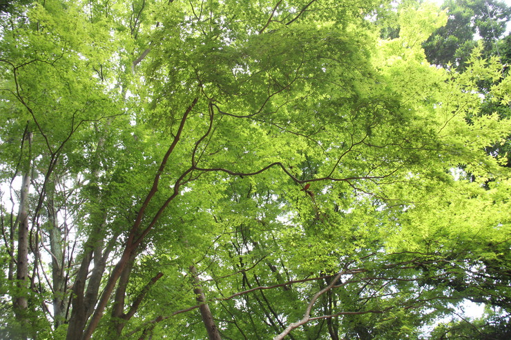 e0024081_22341920.jpg