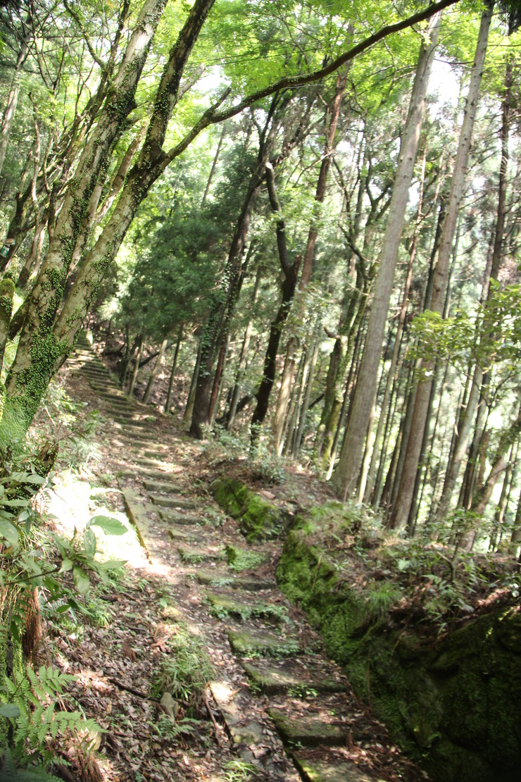 e0024081_2234741.jpg