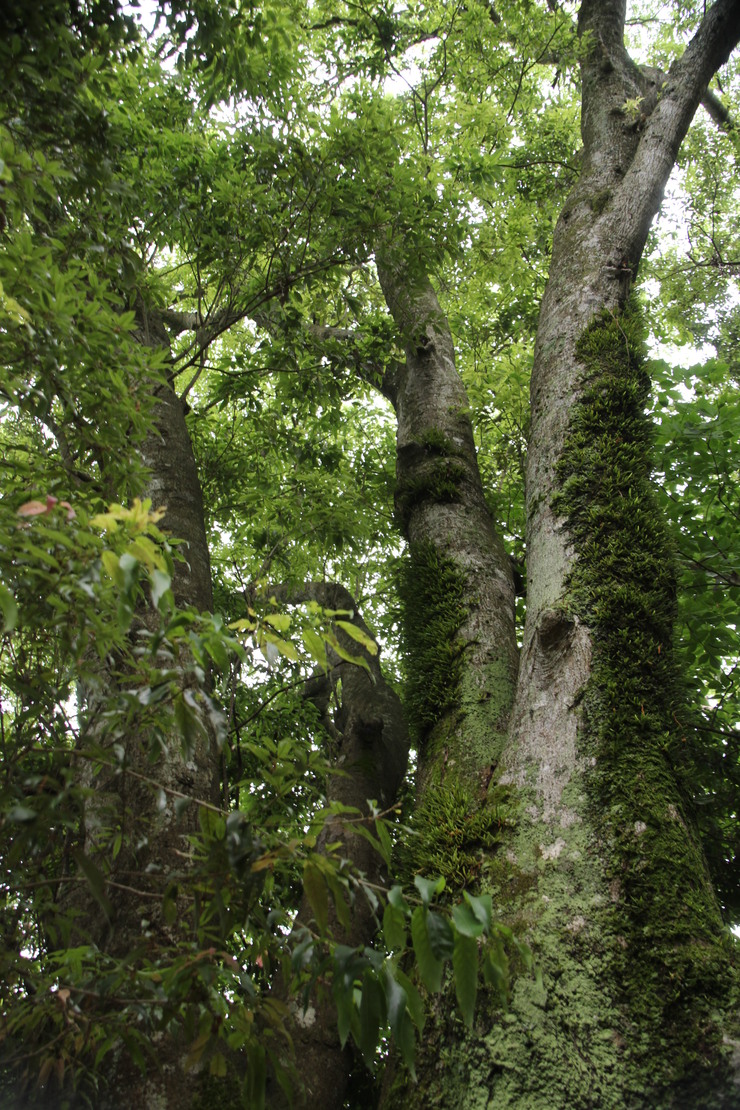 e0024081_2235084.jpg