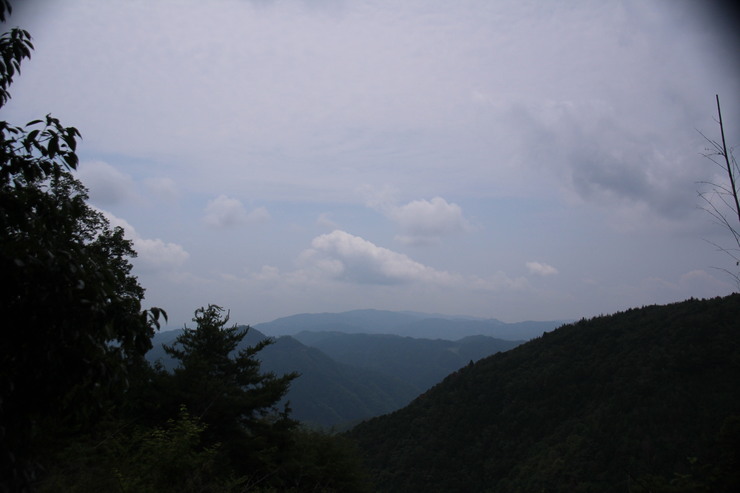 e0024081_2235194.jpg