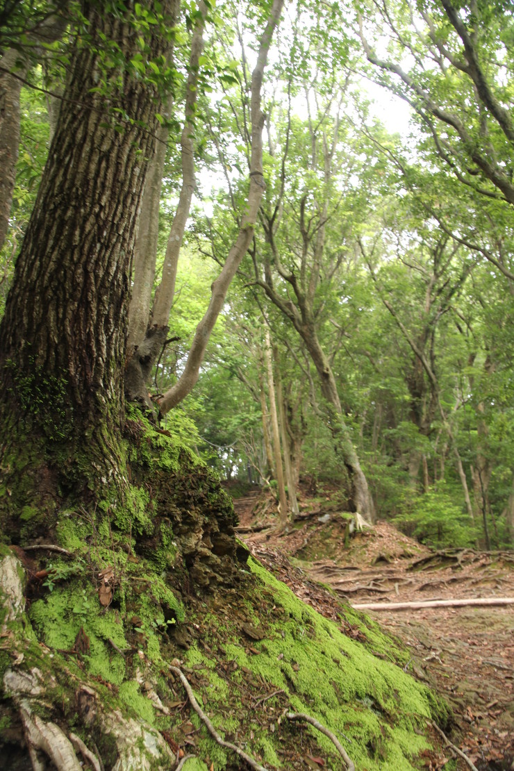 e0024081_2235317.jpg