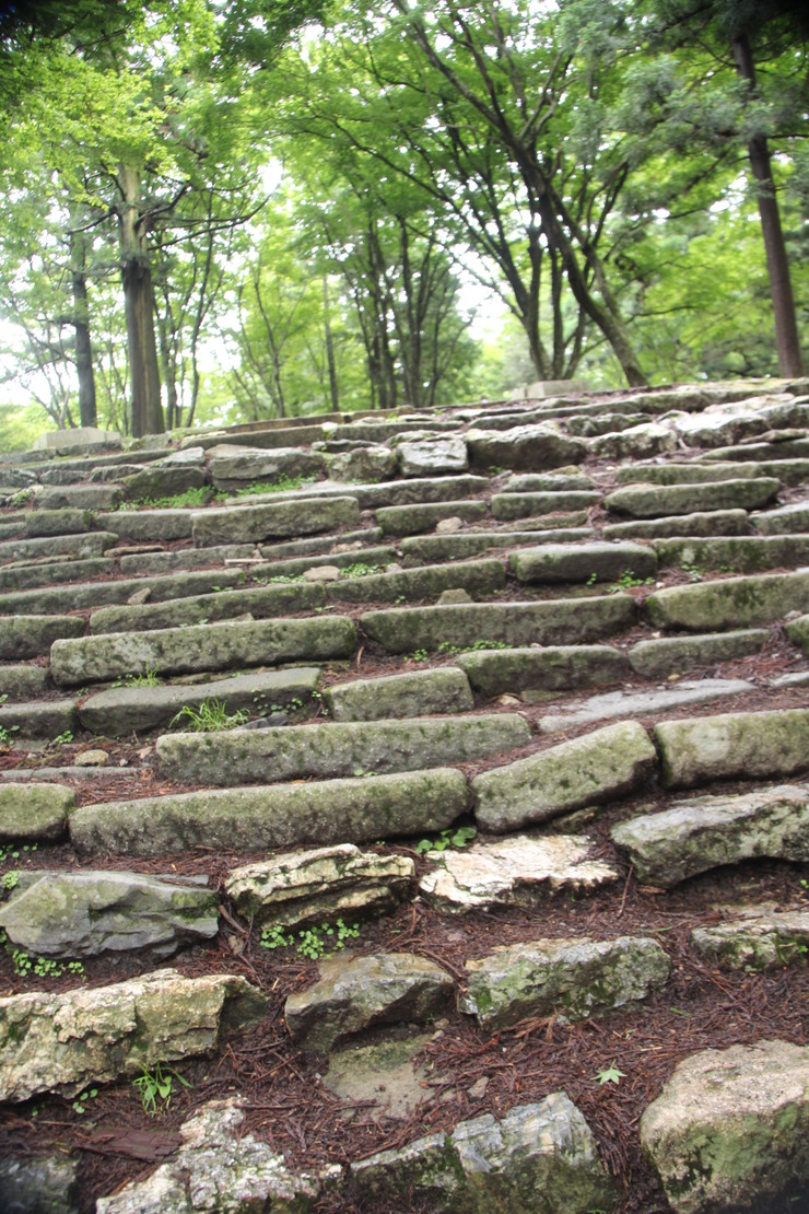 e0024081_2236236.jpg