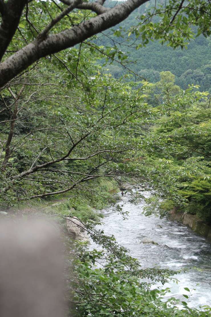 e0024081_22412437.jpg