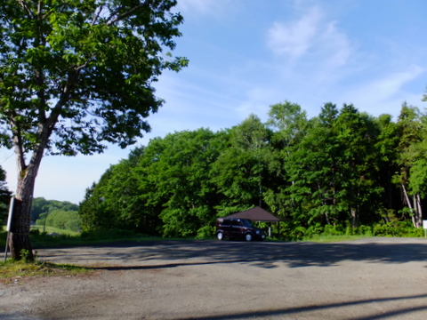 a0043982_1820031.jpg