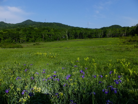 a0043982_1820128.jpg