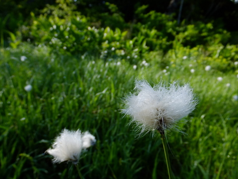 a0043982_18203061.jpg