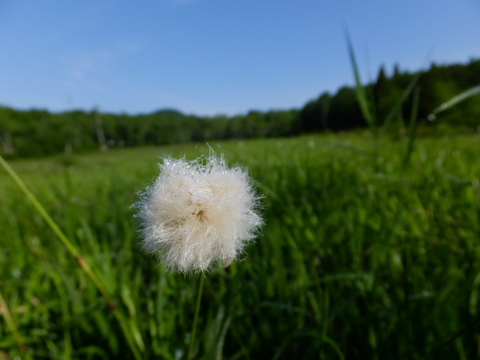 a0043982_18204153.jpg