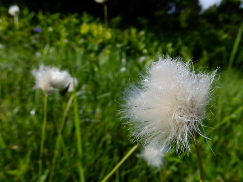 a0043982_18205129.jpg