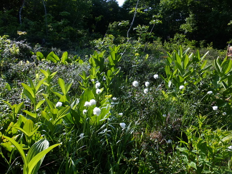 a0043982_18211686.jpg