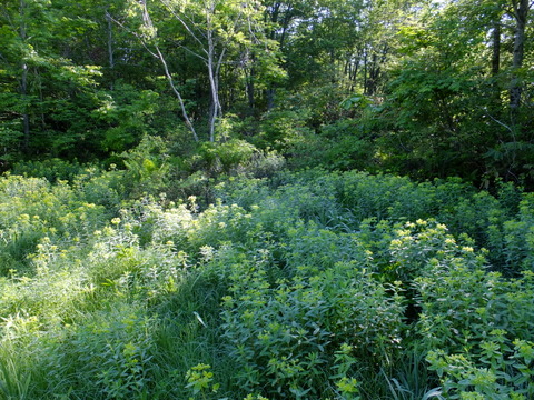 a0043982_1822155.jpg