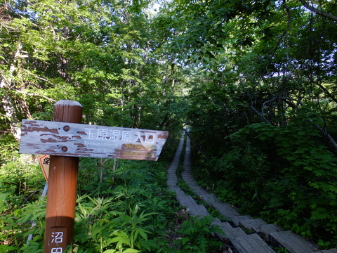 a0043982_18222469.jpg