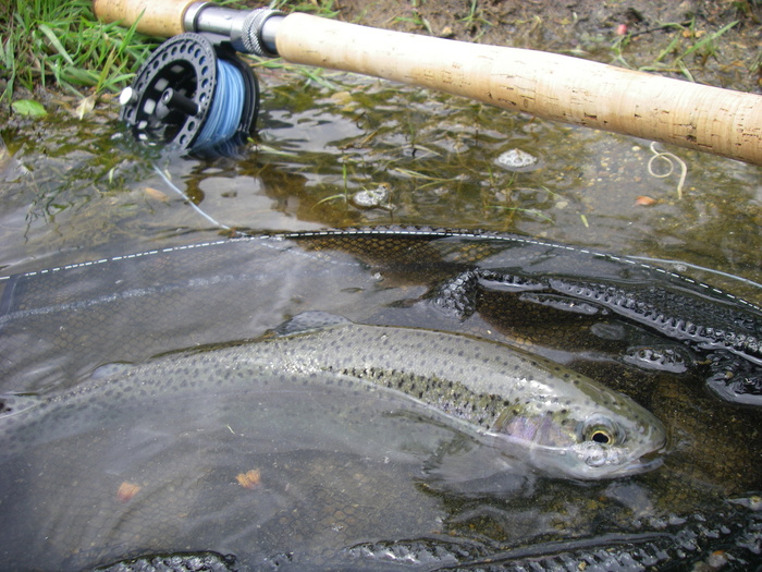 c0136486_154527.jpg