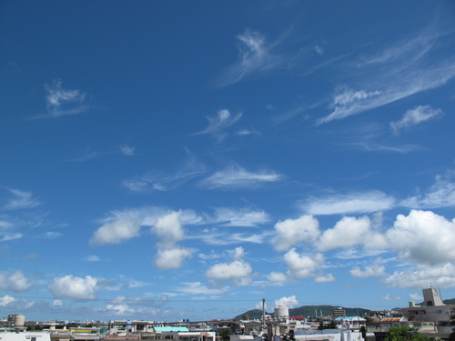 c0064389_12443649.jpg