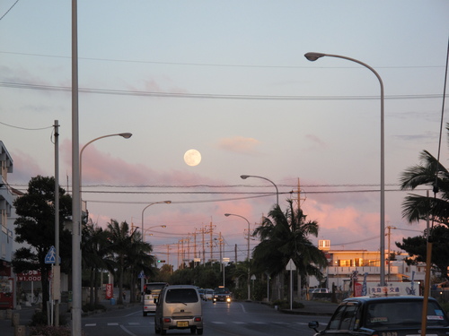 c0064389_1246458.jpg